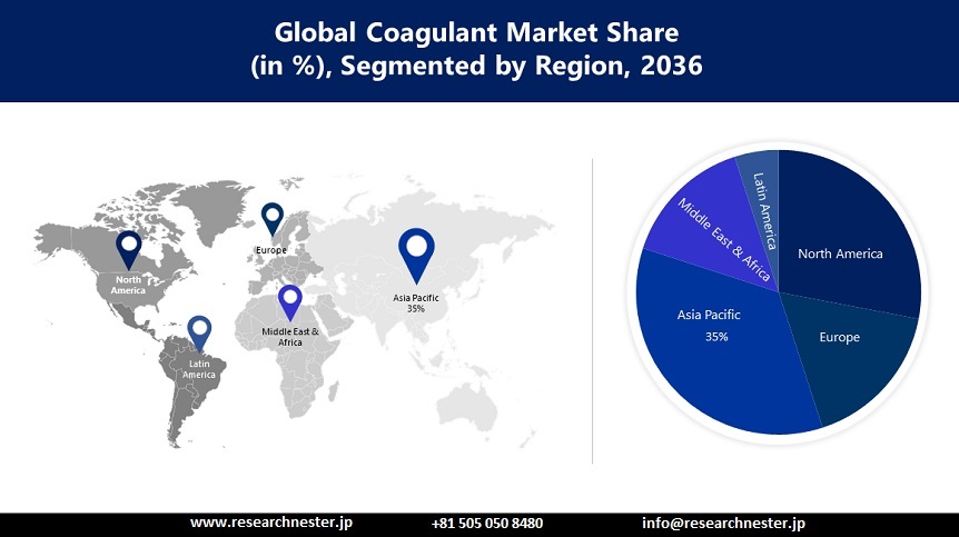 Coagulant Market Size